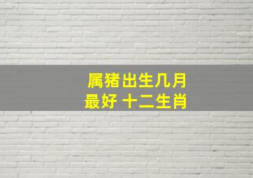 属猪出生几月最好 十二生肖